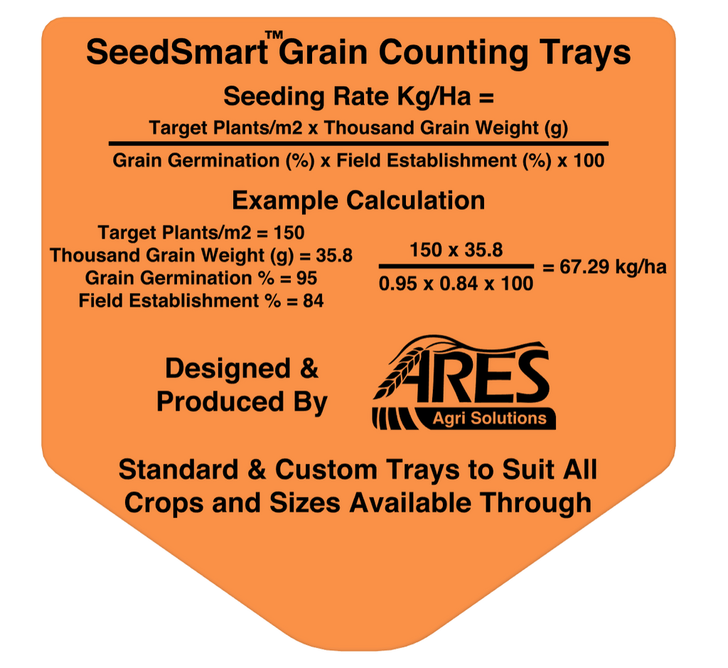 SeedSmart Large Set Trays Base+Lid