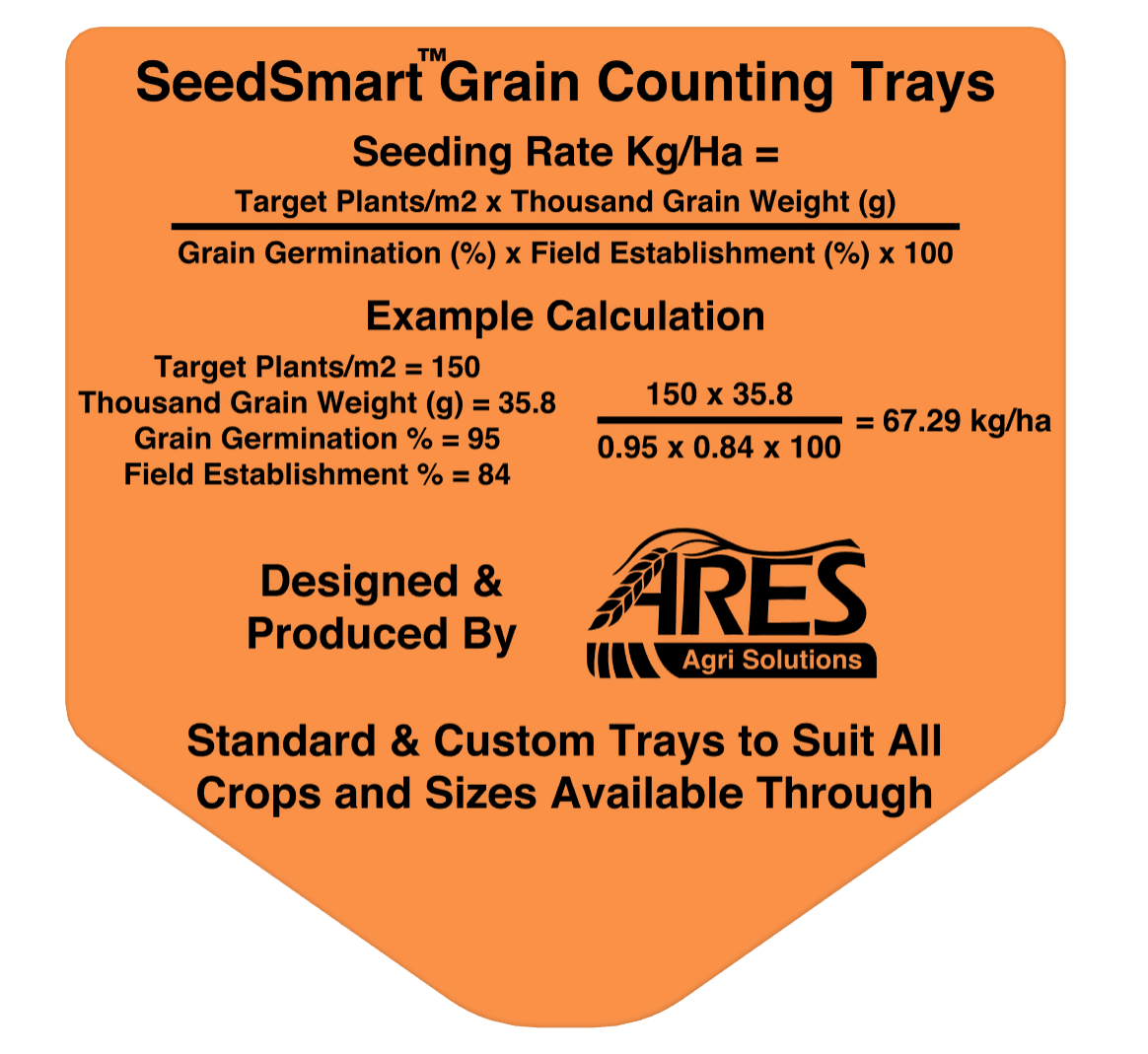 SeedSmart Large Set Trays Base+Lid